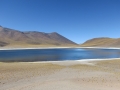 3c_Lagunen-RedStone-Flamingos_050.GH.hd