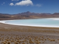 3c_Lagunen-RedStone-Flamingos_096.GH.hd