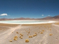 3c_Lagunen-RedStone-Flamingos_099b.GH.hd