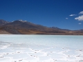 3c_Lagunen-RedStone-Flamingos_128.HK.hd