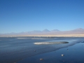 3c_Lagunen-RedStone-Flamingos_222.HK.hd