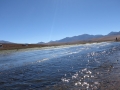 3d_Geysir-El-Tatio_123.GH.hd