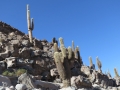 3f_Kakteenwanderung-Guatin_08.GH.hd