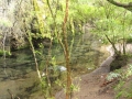 2c_Petrohue-Nationalpark_64.HK.hd