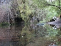 2c_Petrohue-Nationalpark_68.GH.hd