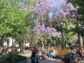 1b_Santiago_115.GH.hd