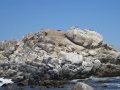 4c_Vina-del-Mar-Küste_15.GH.hd
