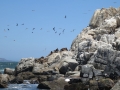 4c_Vina-del-Mar-Küste_17.GH.hd