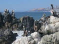 4d_Vina-del-Mar-City_32.GH.hd