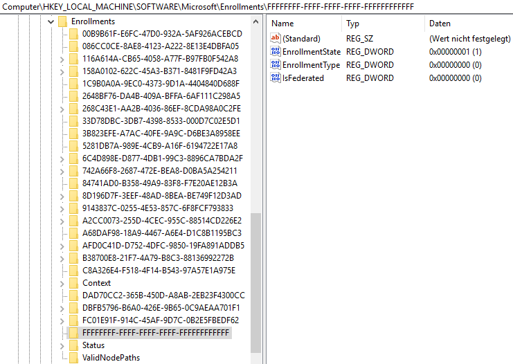 Fake-MDM (Mobile-Device-Management) Konfiguration