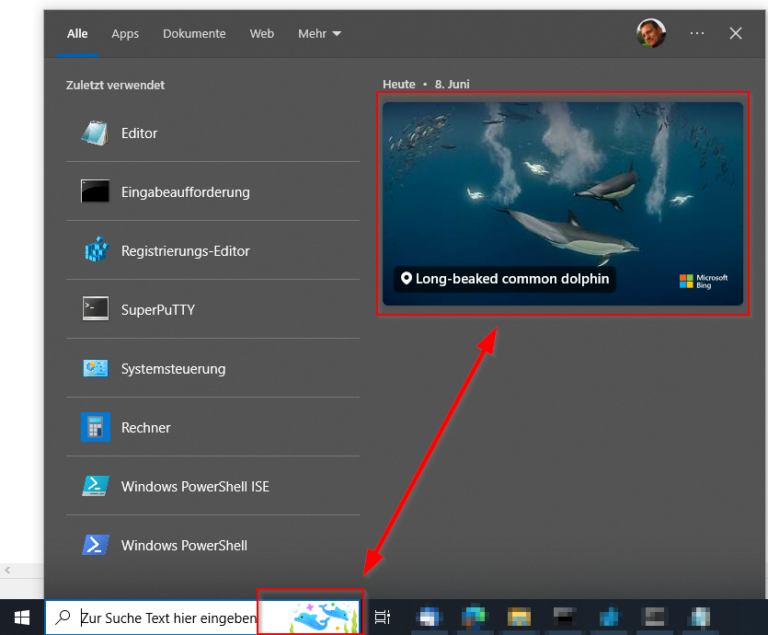 Grafik & Bilder in Windows Suchleiste entfernen Gunnar Haslinger